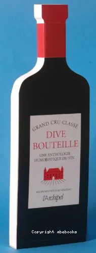 Dive bouteille