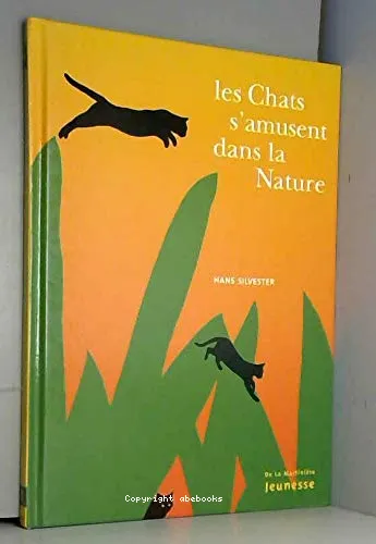 Les chats s'amusent dans la nature