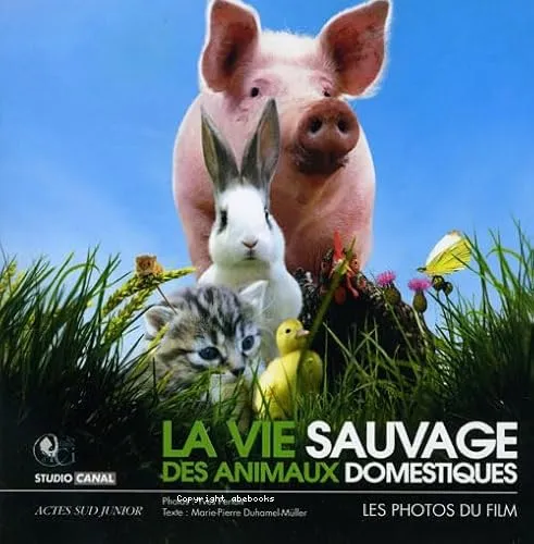 La vie sauvage des animaux domestiques