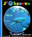 J'observe les poissons