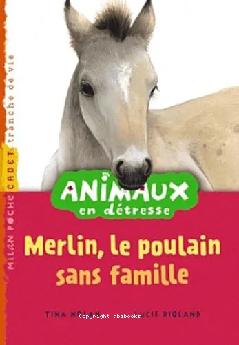 Merlin, le poulain sans famille
