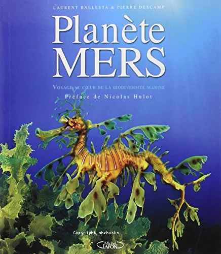 Plan�te mers