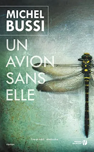 Un avion sans elle