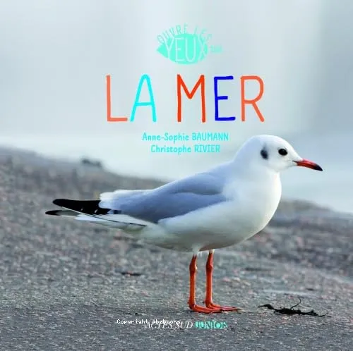 La mer