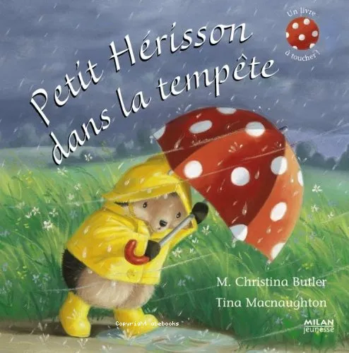 Petit H�risson dans la temp�te