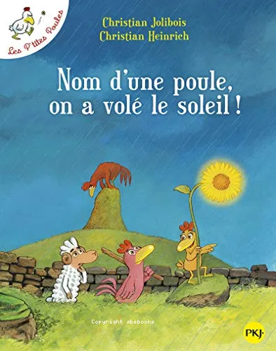 Nom d'une poule, on a vol� le soleil !