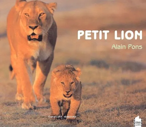 Petit lion