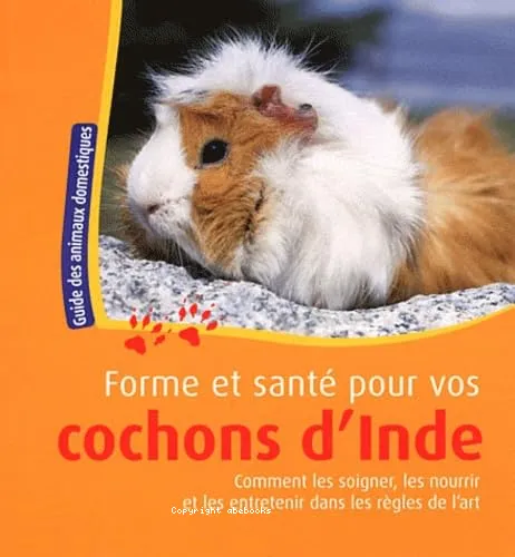 Forme et sant� pour vos cochons d'inde