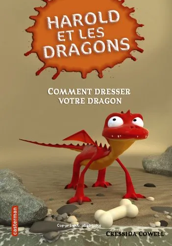 Comment dresser votre dragon ?