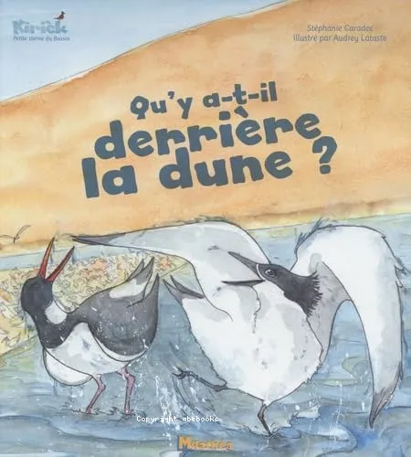 Qu'y a-t-il derri�re la dune ?