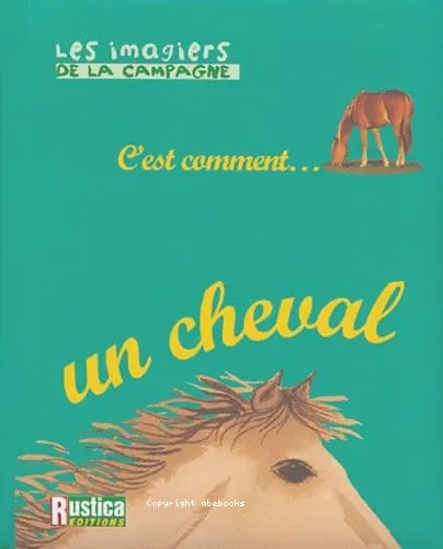 C'est comment un cheval