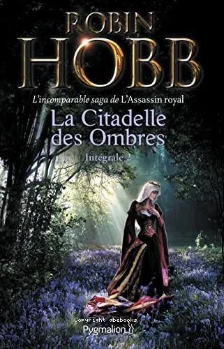 La citadelle des ombres