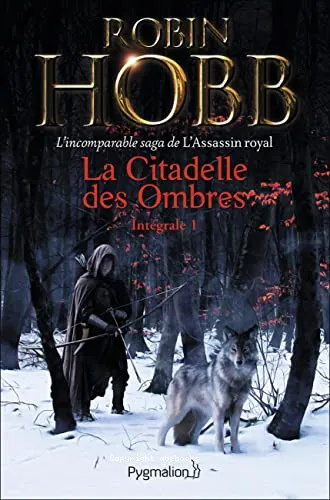 La citadelle des ombres
