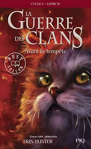 Avant la temp�te