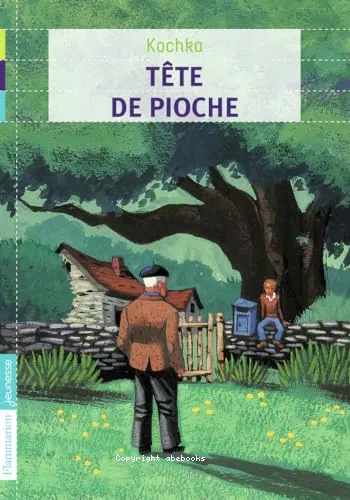 T�te de pioche