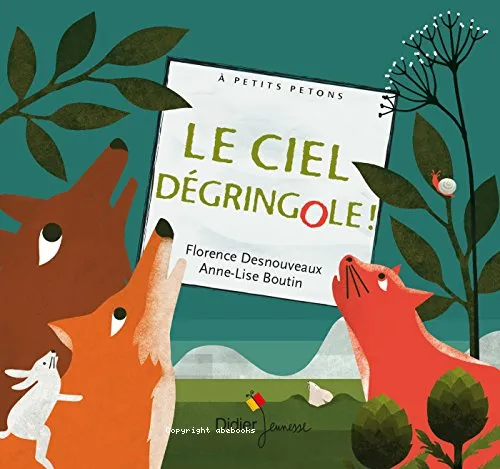 Le ciel d�gringole !