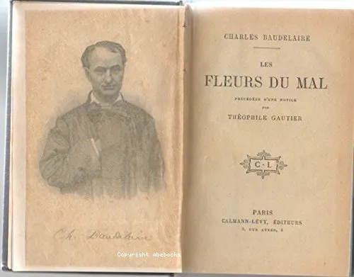 Les Fleurs du mal