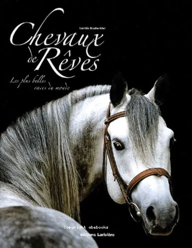 Chevaux de r�ves