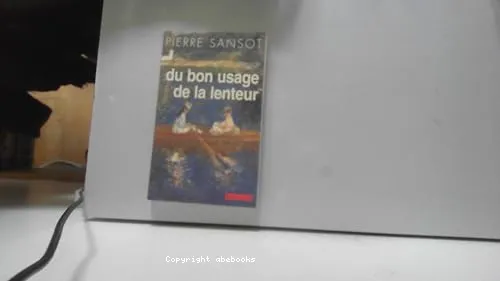 Du bon usage de la lenteur