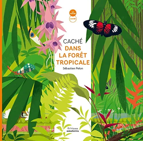 Cach� dans la for�t tropicale