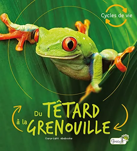 Du t�tard � la grenouille