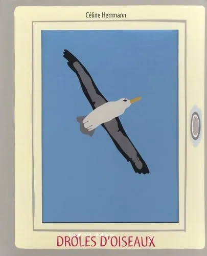 Dr�les d'oiseaux