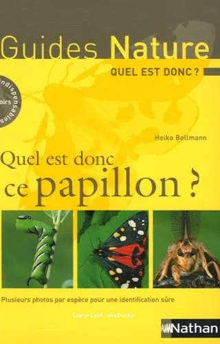 Quel est donc ce papillon ?