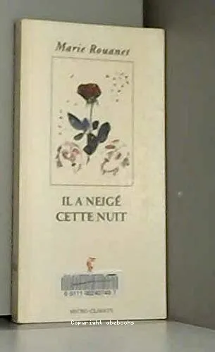 Il a neig� cette nuit